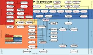 크림을 포함한 50가지 유제품의 종류와 관계를 나타내는 차트