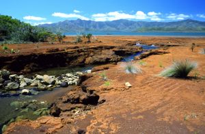 뉴칼레도니아 남부의 개울. 붉은색은 토양 내 산화철과 니켈의 풍부함을 보여준다.