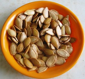 호박의 씨앗(성숙한)