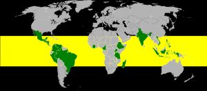 노란색 부분이 커피 벨트라고 불리는 위도 범위. 녹색으로 칠해진 부분은 2011년 현재 커피 생산량 상위 20개국이다.