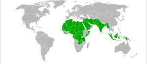 일부다처제가 허용되는 지역