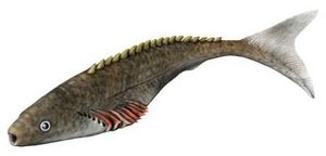 라사니우스 문제티쿠스의 복원도