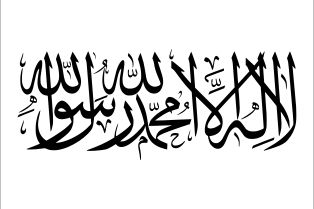 시리아 과도 정부의 추가적인 국기