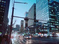 서울 도심의 종로 일대 경관