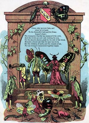 윌리엄 로스코의 「나비의 무도회와 메뚜기의 향연」 삽화. 정식 파티에 참석한 곤충들을 묘사하고 있다.