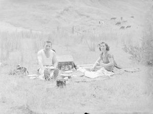 미국, 피크닉을 하는 커플.