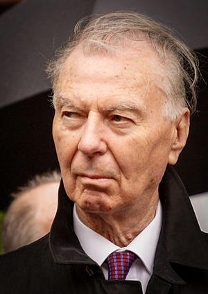 2006년의 틴데만스