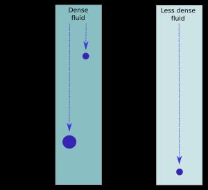 아리스토텔레스의 운동 법칙