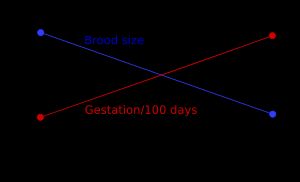  아리스토텔레스는 동물 관찰을 통해, 새끼 수는 몸집이 클수록 줄어들고, 임신 기간은 길어진다는 성장 법칙을 추론했다. 적어도 포유류의 경우에는 그의 예측이 정확했다. 쥐와 코끼리의 데이터가 그 예시이다.