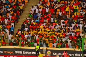 가나 축구 국가대표팀 서포터들.