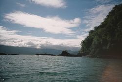 덥고 습한 콜롬비아의 태평양 해안. 세계에서 비가 많이 내리는 곳 중 한 곳.