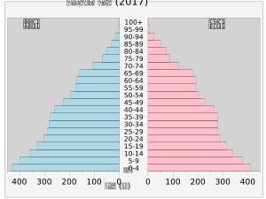 이스라엘의 인구 피라미드 (왼쪽 남성 오른쪽 여성)