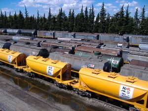 로사리오의 철도