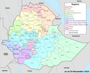 암하라 주는 북서쪽의 노란색 영역