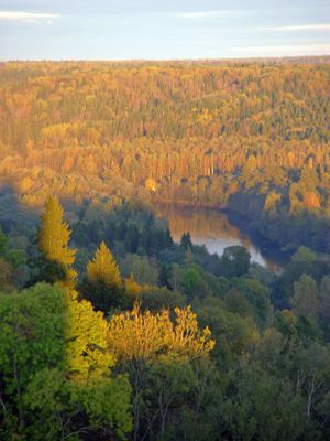 라트비아는 유럽 연합 내에서 산림 면적 비율이 다섯 번째로 높다.