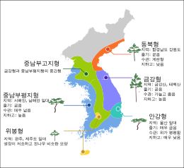 1928년 우에키의 한국 소나무 분류