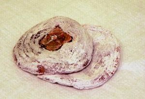 상주의 특산물 곶감