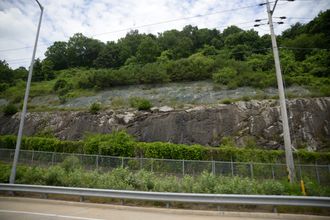 금성면 월림리, 중앙고속도로 제천휴게소 남동측에 드러난 경상계 불국사층군 반상 화강암(os)의 노두