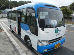 2010년 8월부터 운행되기 시작한 소형 시내버스