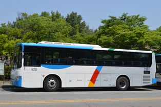 충청북도의 시내버스