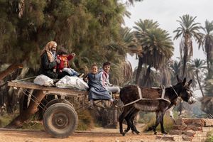 2019년 이집트의 당나귀 수레를 타고 있는 가족. 가족 관계는 많은 사회에서 가장 중요한 조직 원리 중 하나이다.