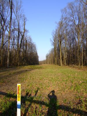 공원을 통과하는 지하 석유 파이프라인