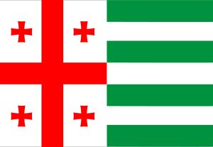 조지아 의회 소속 지역 문장학 의회가 착안한 압하지야 자치 공화국의 국기.