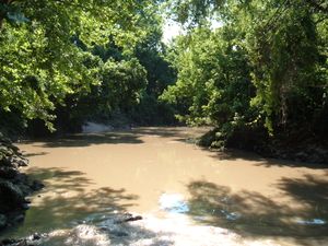 버펄로 바이유(Buffalo Bayou)