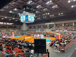 히로시마 선 플라자, 히로시마 드래곤플라이즈의 홈 경기장