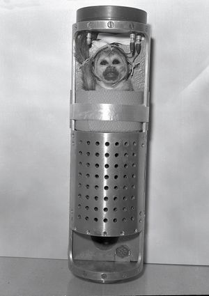 5월 28일: 미스 베이커 발사를 기다리고 있다.