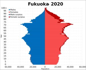 후쿠오카현 인구 피라미드