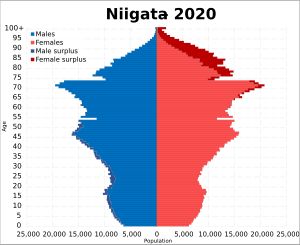 2020년 니가타현 인구 피라미드