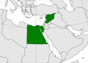 점령된 가자 지구를 포함한 아랍 연합 공화국
