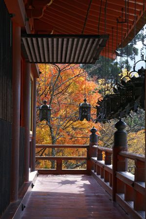 가을의 단잔 신사(Tanzan Shrine)