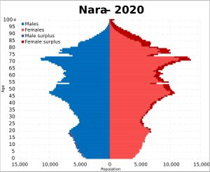 2020년 나라현 인구 피라미드