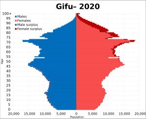 2020년 기후현 인구 피라미드