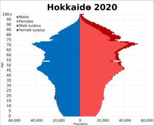 2020년 홋카이도 인구 피라미드