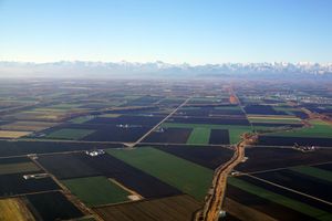 도카치 평야의 대규모 농장