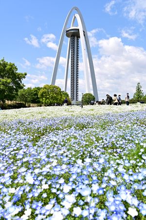 이치노미야의 기소 강 공원에 있는 트윈 아치 138 타워
