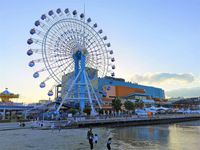 시미즈항(清水港) 히노데(日の出) 지역