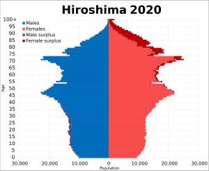 2020년 히로시마현 인구 피라미드