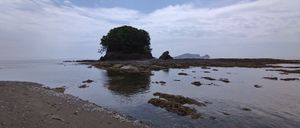 모라스코 무기 마츠가이소