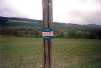 보수당 후보의 포스터