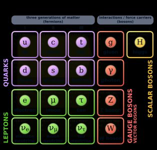 표준 모형에 따른 기본 입자들.