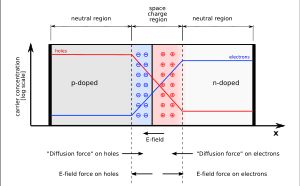 그림 A. 외부 전압이 인가되지 않은 열적 평형 상태의 p-n 접합. 전자와 정공의 농도는 각각 파란색과 빨간색 선으로 표시된다. 회색 영역은 전하 중성이다. 연한 빨간색 영역은 양전하를 띠고, 연한 파란색 영역은 음전하를 띤다.