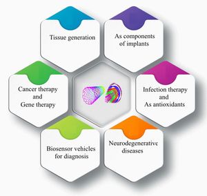 생체의학에서 탄소나노튜브의 응용 개략도