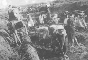 1941년 7월, 레닌그라드 여성들이 대전차 참호를 파는 모습