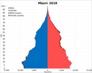2018년 뉴질랜드 마오리족 인구 피라미드