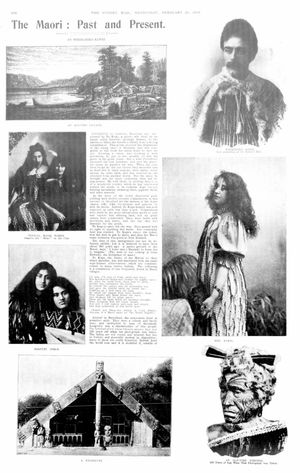 "The Māori: Past and Present", 시드니 메일(The Sydney Mail)지, 1903년 기사