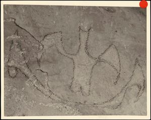 오피히 강(Ōpihi River)에 있는 카터스 록풀의 숯 그림